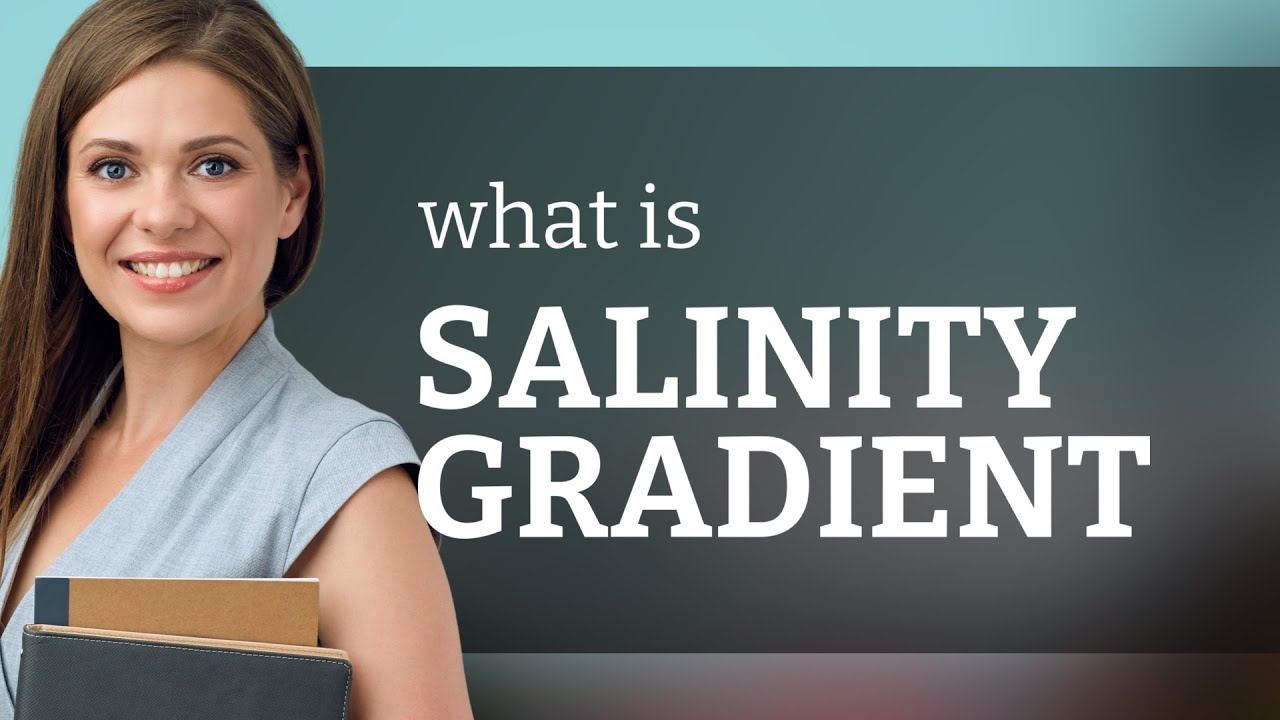 Understanding Salinity Gradient: A Dive into Ocean Science