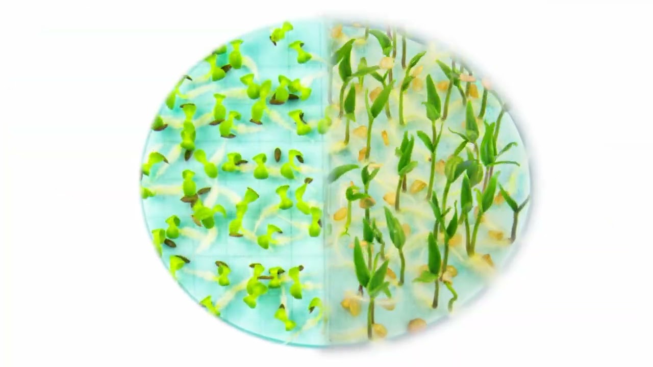 Inotec Priming Seeds Portfolio