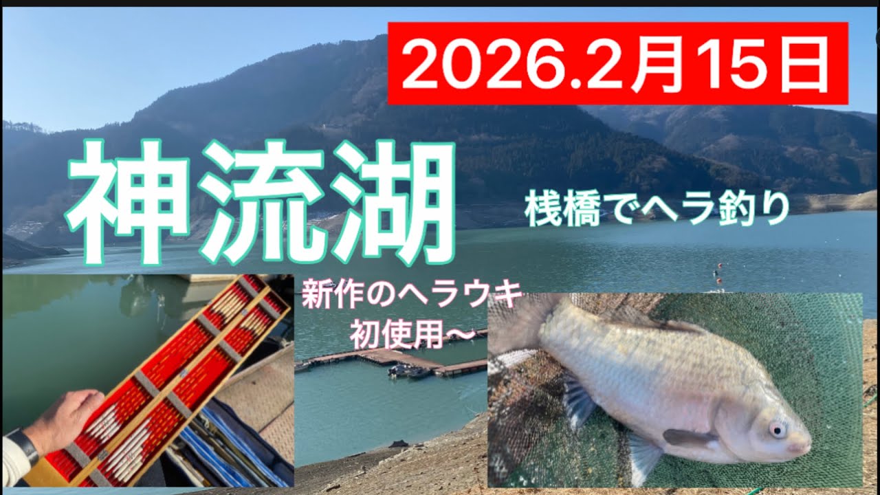 2026.2月15日.神流湖桟橋ヘラブナ釣り　#釣り #ヘラブナ釣り #ヘラブナ #サンライン #神流湖