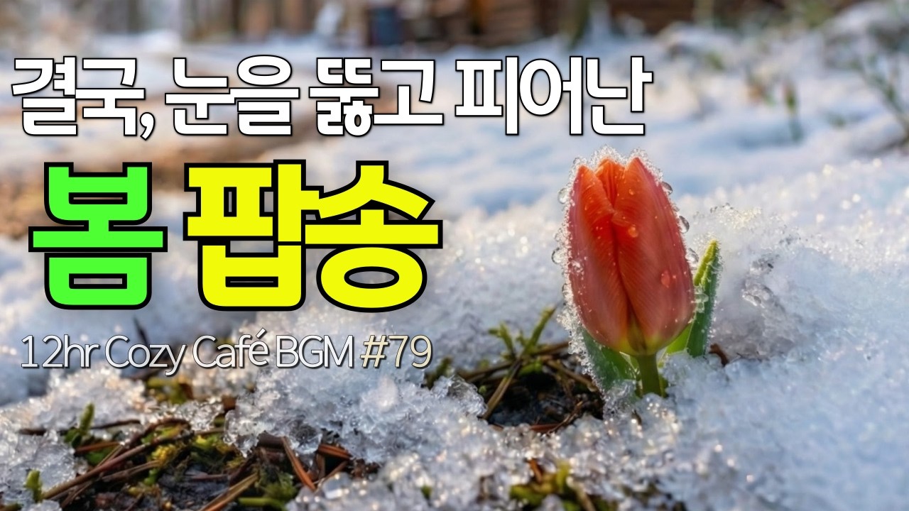 Весенняя музыка для кафе 🌱 12 часов уютной фоновой музыки для магазина и кафе #79