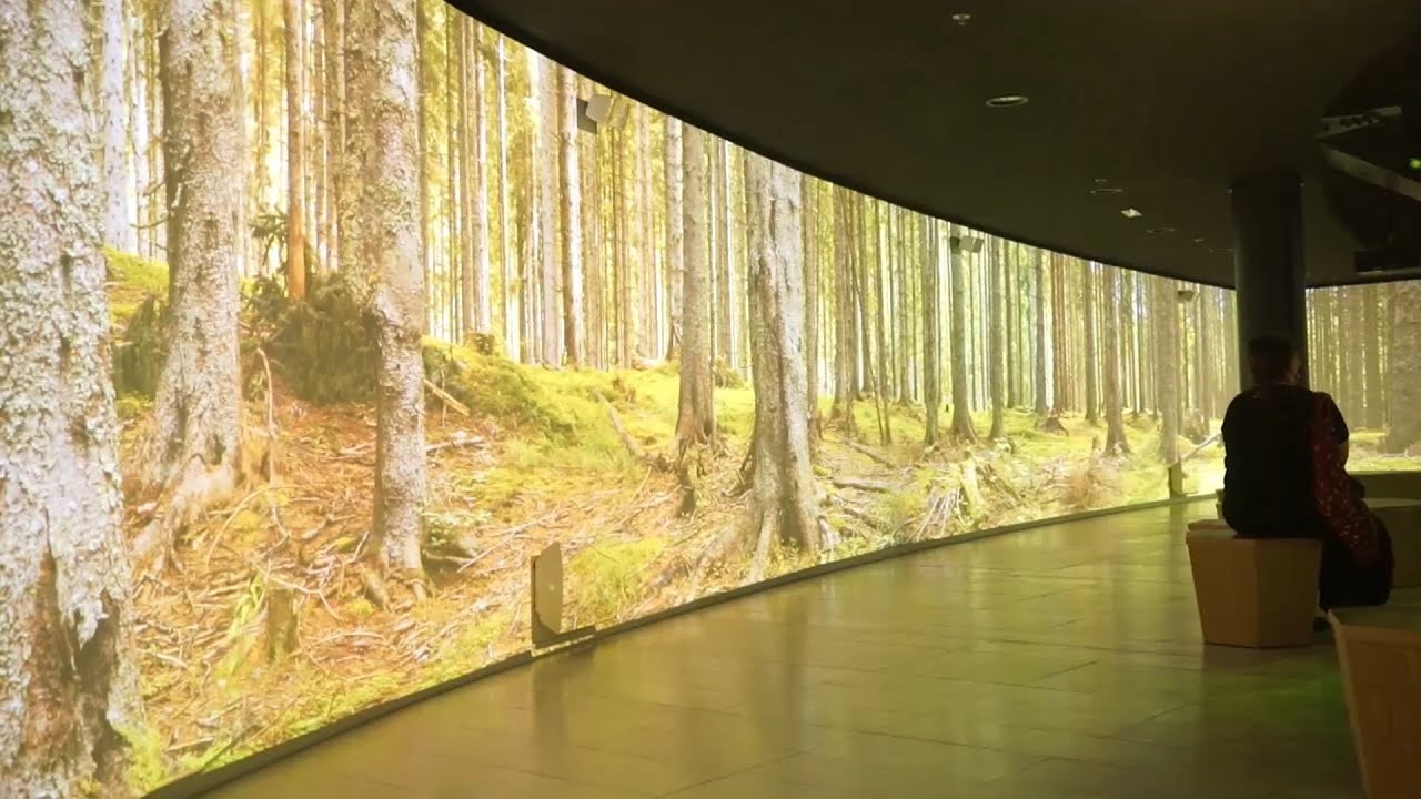 La conectividad digital en las zonas rurales al debate en la Expo Dub&aacute;i 2020