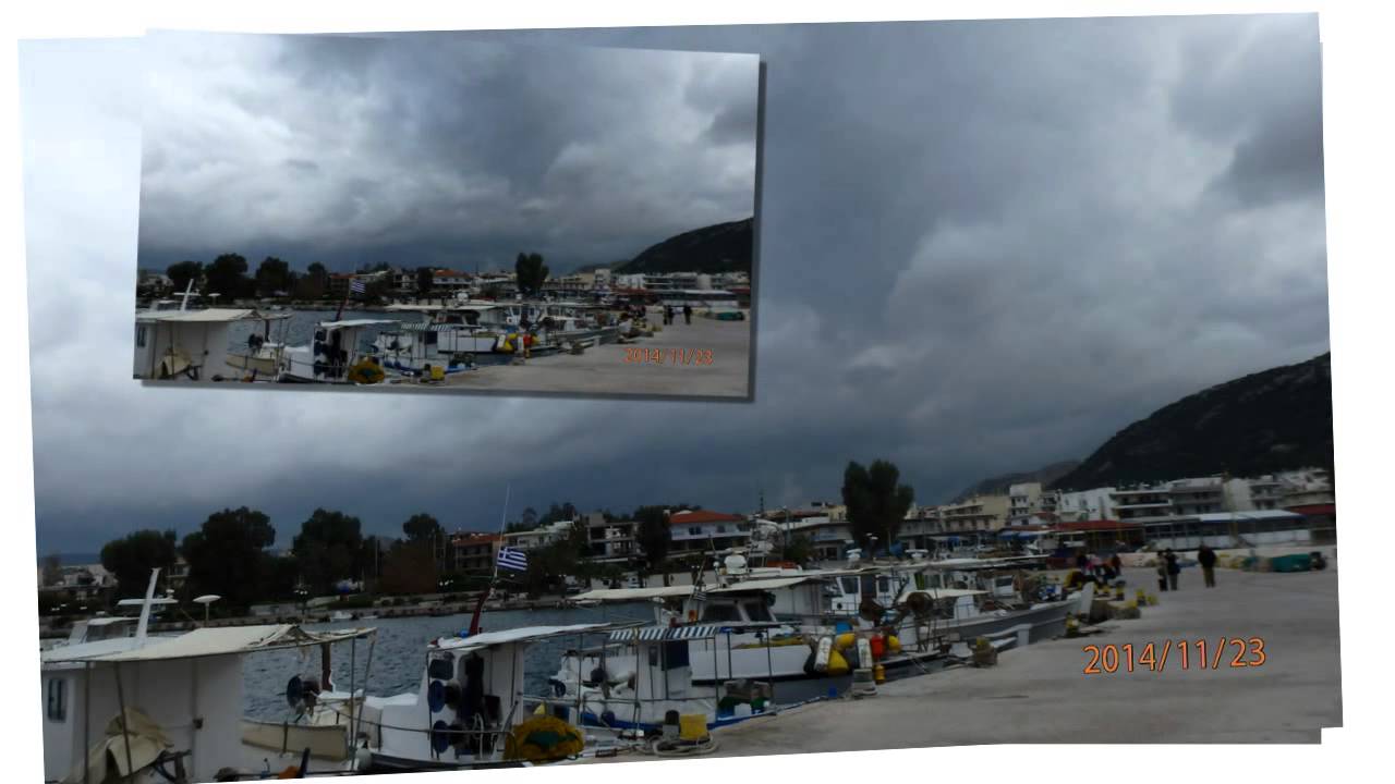 Samba Noir - Toco
