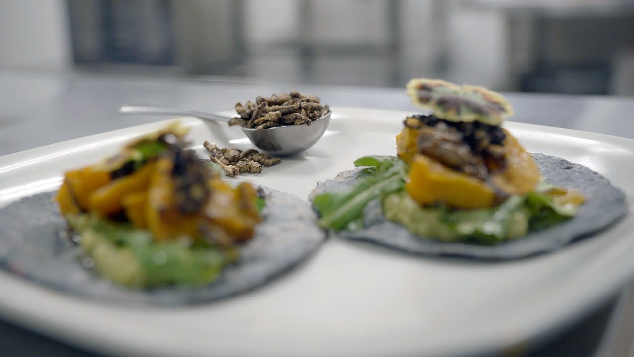 A Cricket Farm Raises a Protein Alternative | Women Entrepreneurs