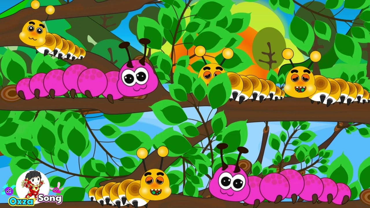 เพลง หนอนผีเสื้อ 2 เวอร์ชั่น | เพลงรวมสำหรับเด็ก | Oxza Song