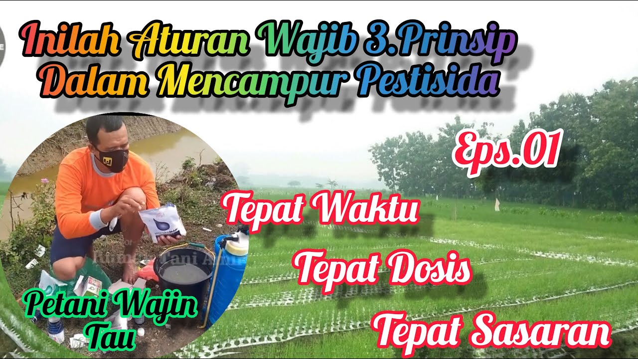Penting ! ! ! Rekomendasi 3 Aturan Wajib Dalam Mencampur Pestisida Yang Benar Dan Tepat.