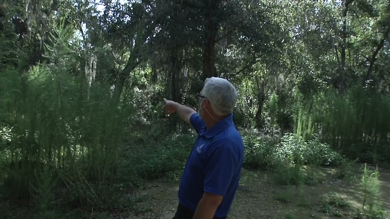 Vacant Lot 6.01 acre Lot 5 Highway 40th W Yankeetown, Fl - Item - 991094