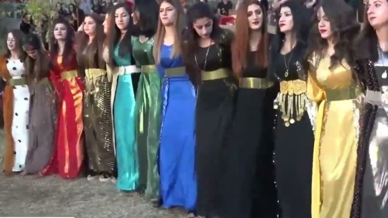 Beautiful Kurdish Women Dabke Dance #kurdishdance #dabke #دبكه #دبكة #kurdishwedding