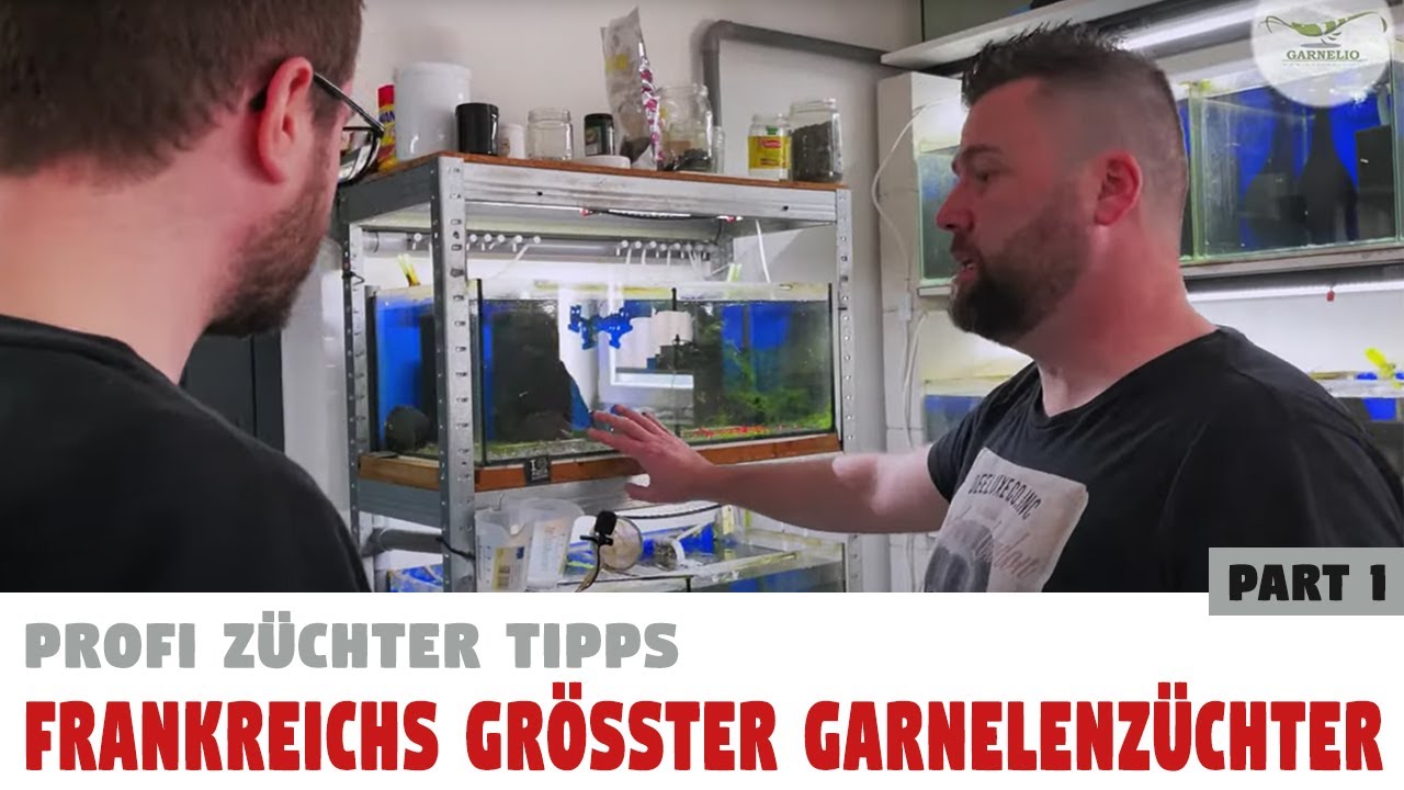 Update 2021 - 30.000€ GARNELENZUCHTANLAGE💰 - Frankreichs GRÖßTER Garnelenzüchter 🦐