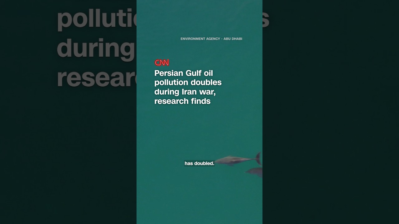 Persian Gulf oil pollution doubles during Iran war, research finds
