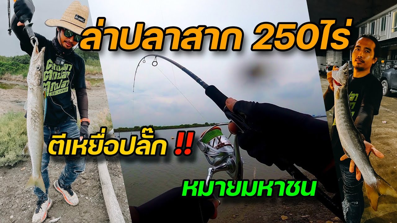 ล่าปลาสาก วัง250ไร่หมายมหาชน #ตกปลา