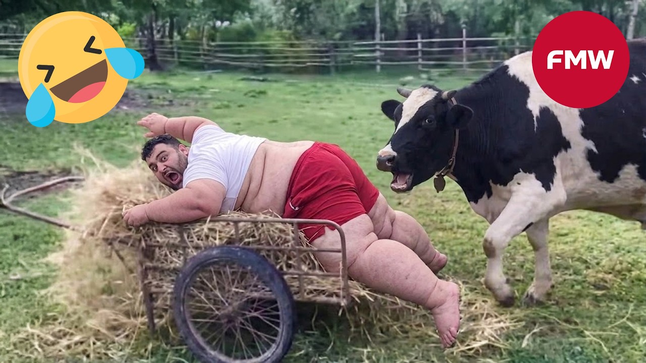 Funny & Hilarious People Life😆#706 | Instant Regret Fails Compilation | TRY NOT TO LAUGH CHALLENGE 😂