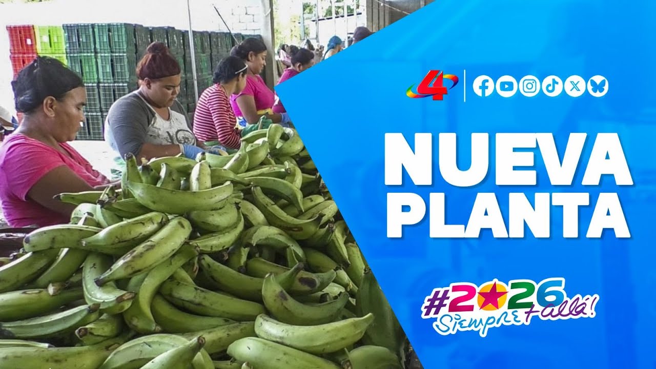 nauguración: nueva Planta Procesadora de Plátanos en Rivas 2025 🏭