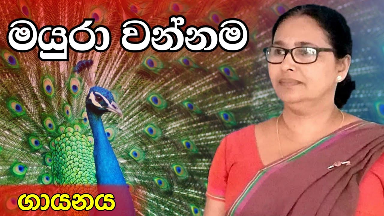 Mayura wannama | මයුරා වන්නම | ගායනය