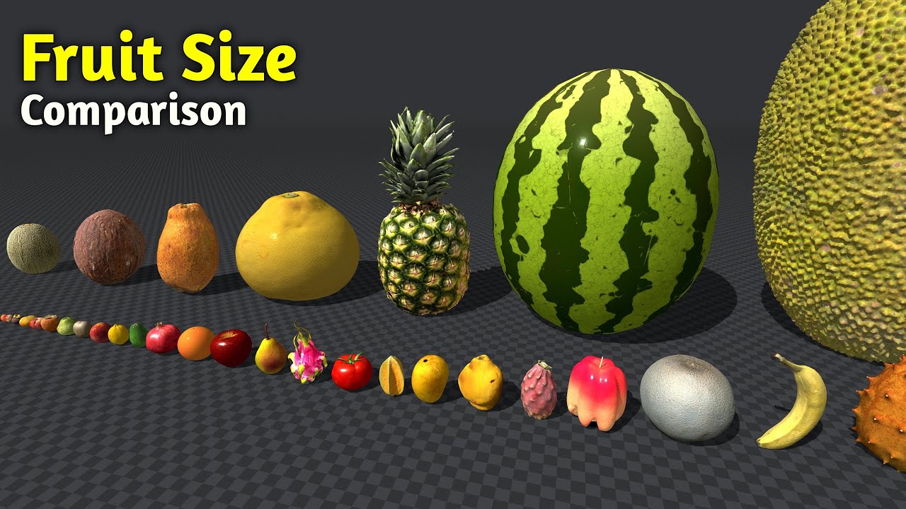 Fruit Size Comparison | Shortest to Biggest