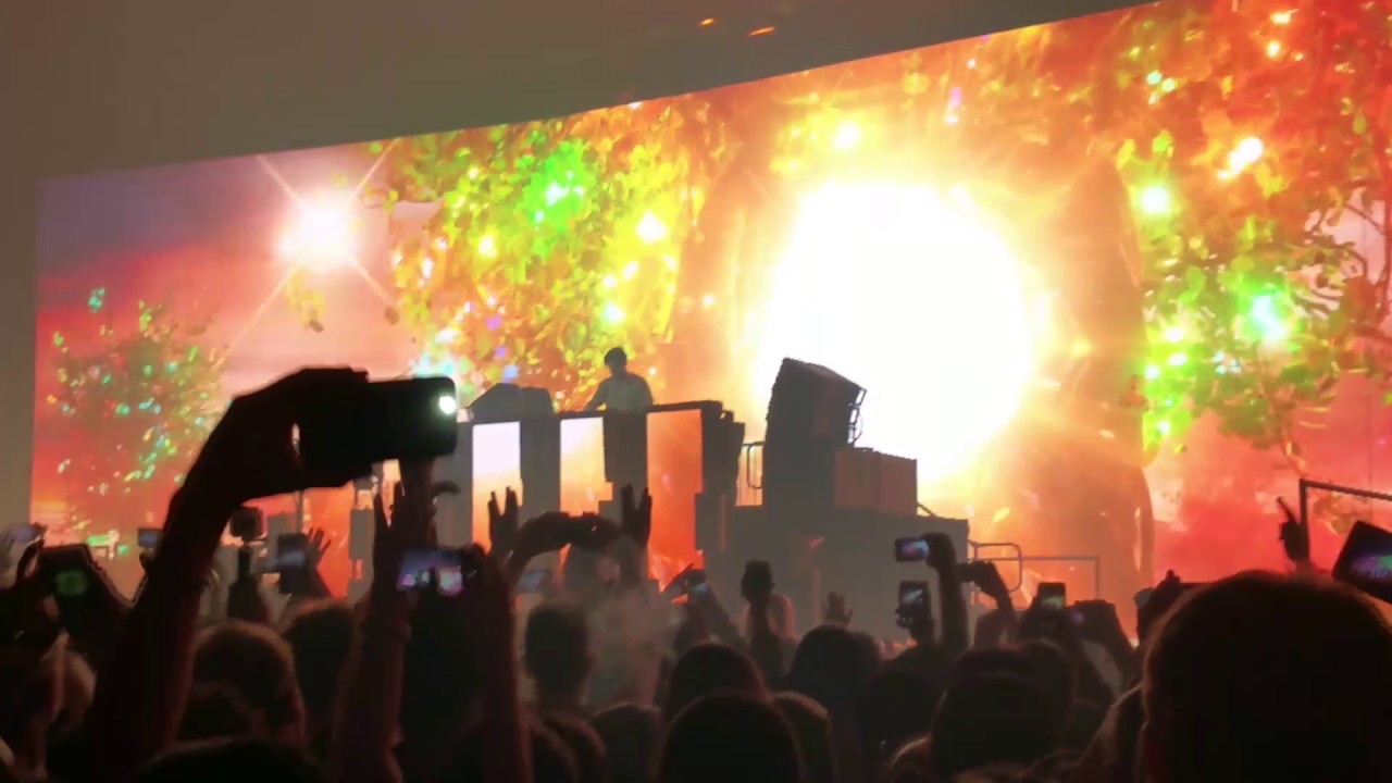 Zedd Intro Lights All Night 2016