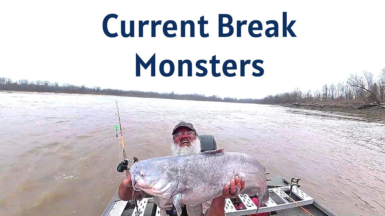 Отличное место для ловли сома, здесь водятся крупные экземпляры.