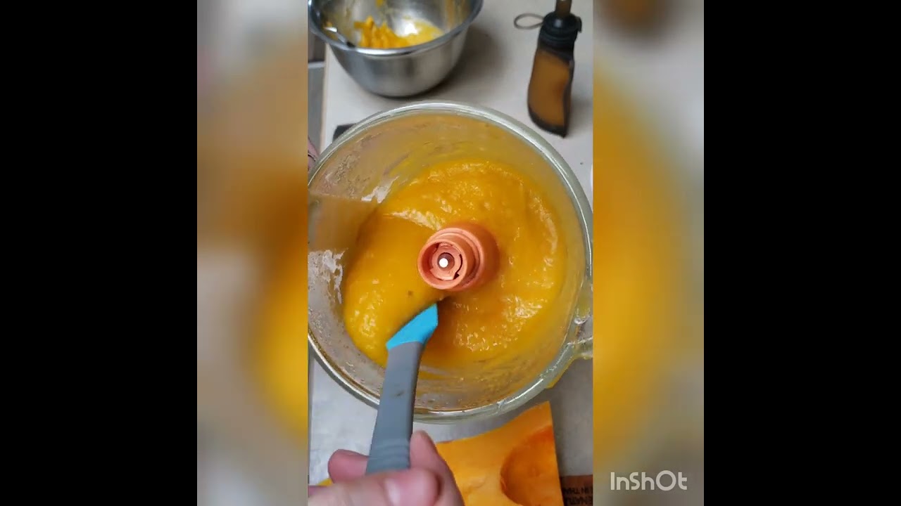 Baby Brezza Food Processor Review