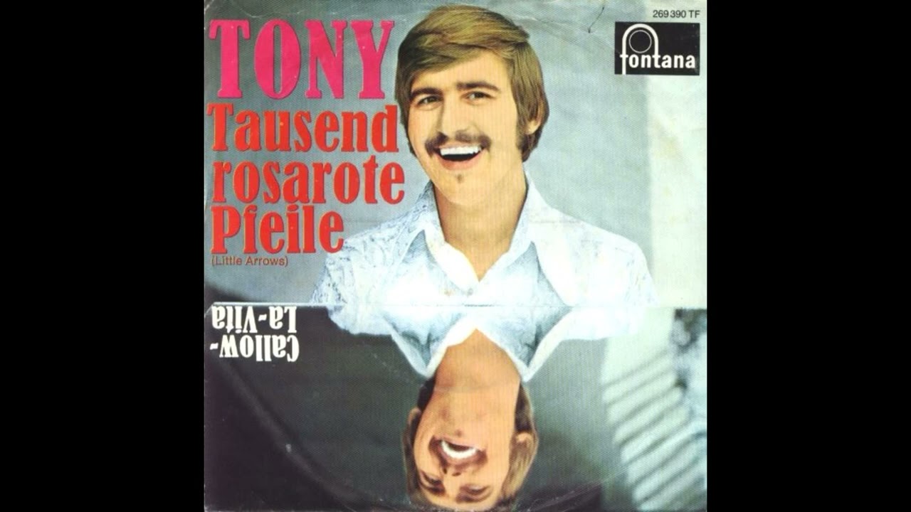 Tausend rosarote Pfeile* (Little arrows) / Tony.