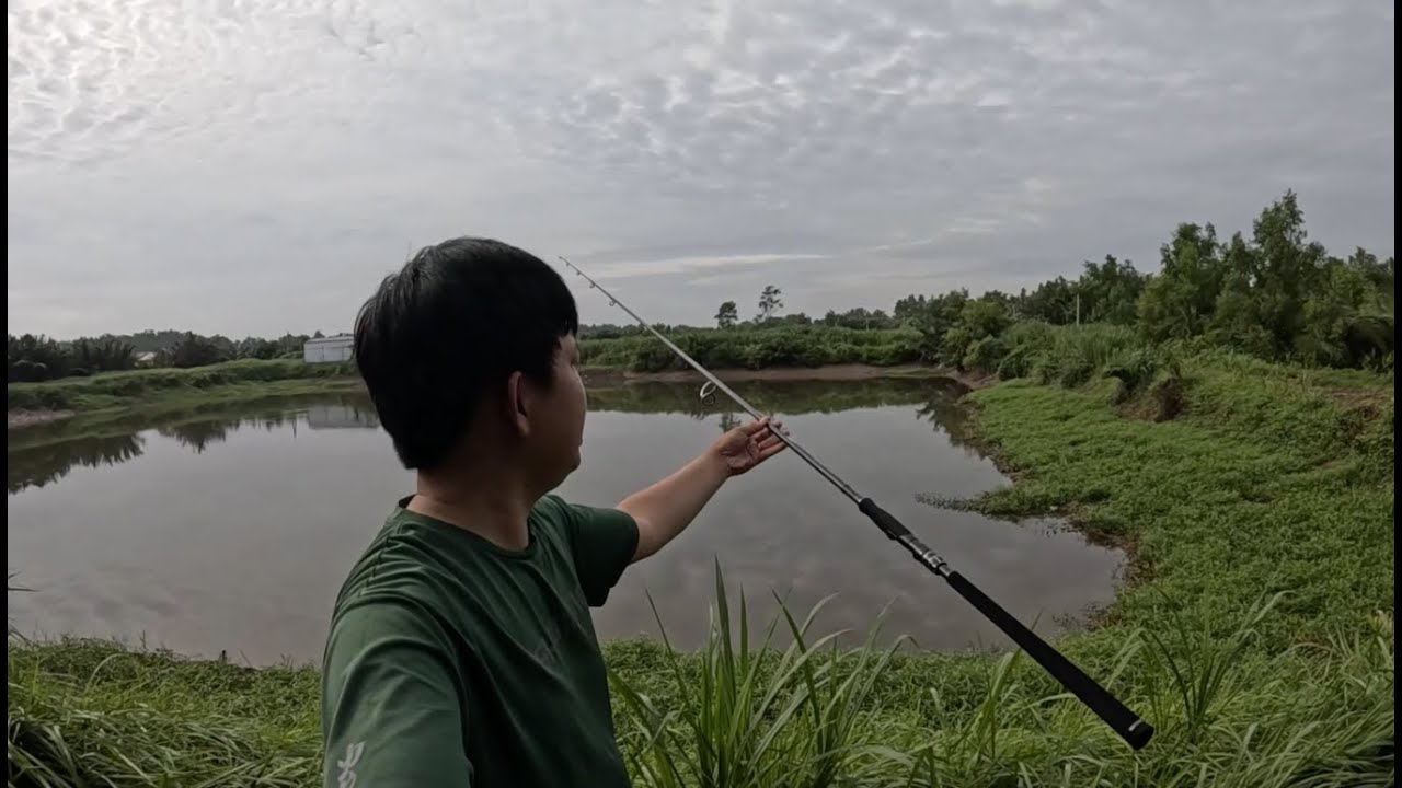 1.500 cành | Cần Ashino Battle 3m khoen Fuji chuyên đánh mồi thật