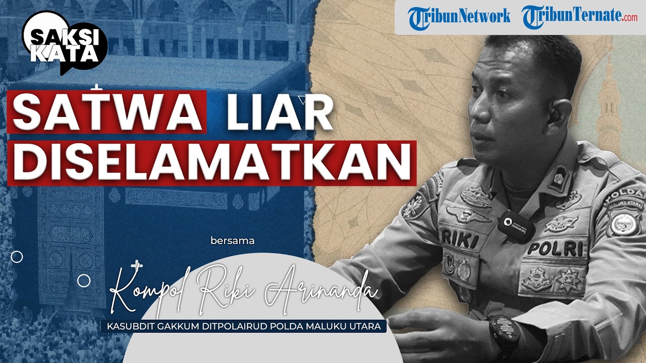 Penyelundupan Digagalkan: Satwa Liar dari Papua Diselamatkan di Maluku Utara | Saksi Kata Eps 14