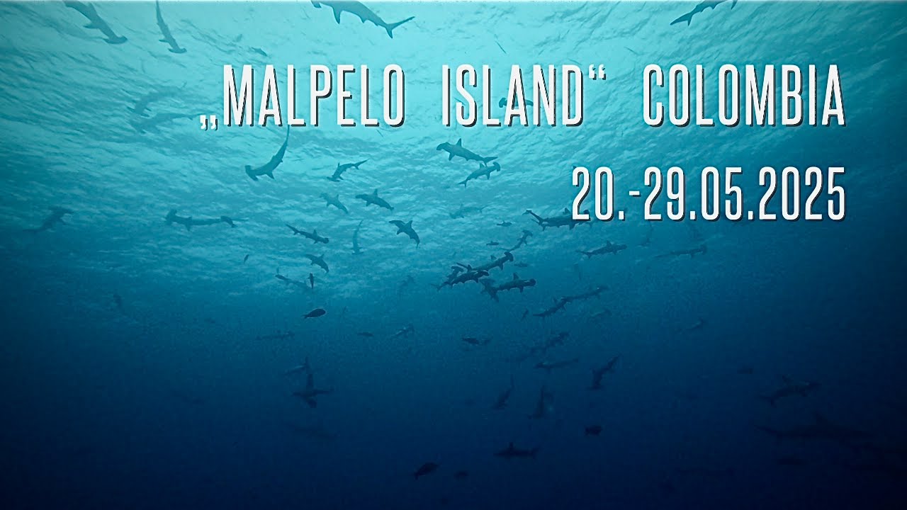 „Malpelo Island“ Colombia  (20.-29.05.2025)