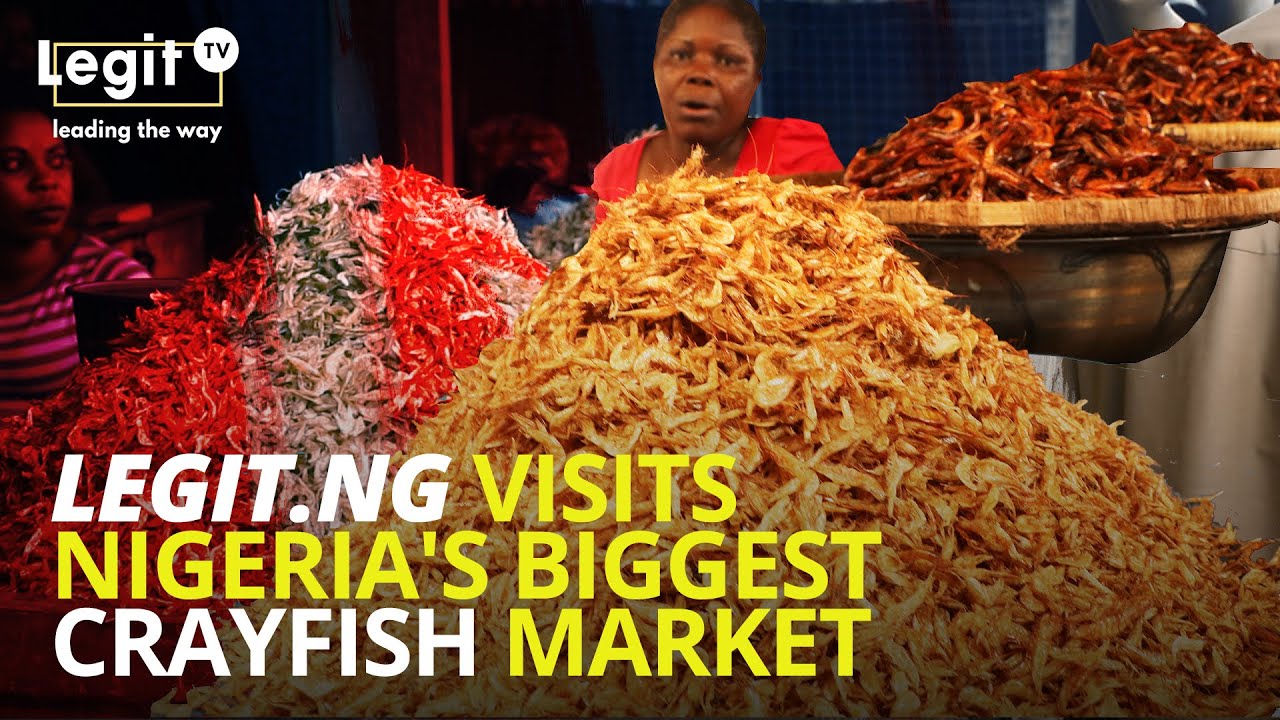 Legit.ng visits Nigeria's biggest crayfish market | Legit TV