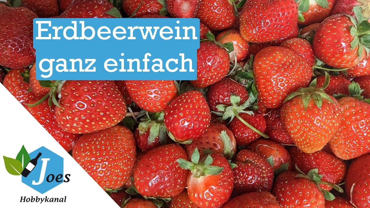 Erdbeerwein selber machen