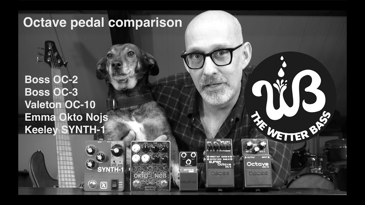 Octave pedal comparison with special guest… 🐶