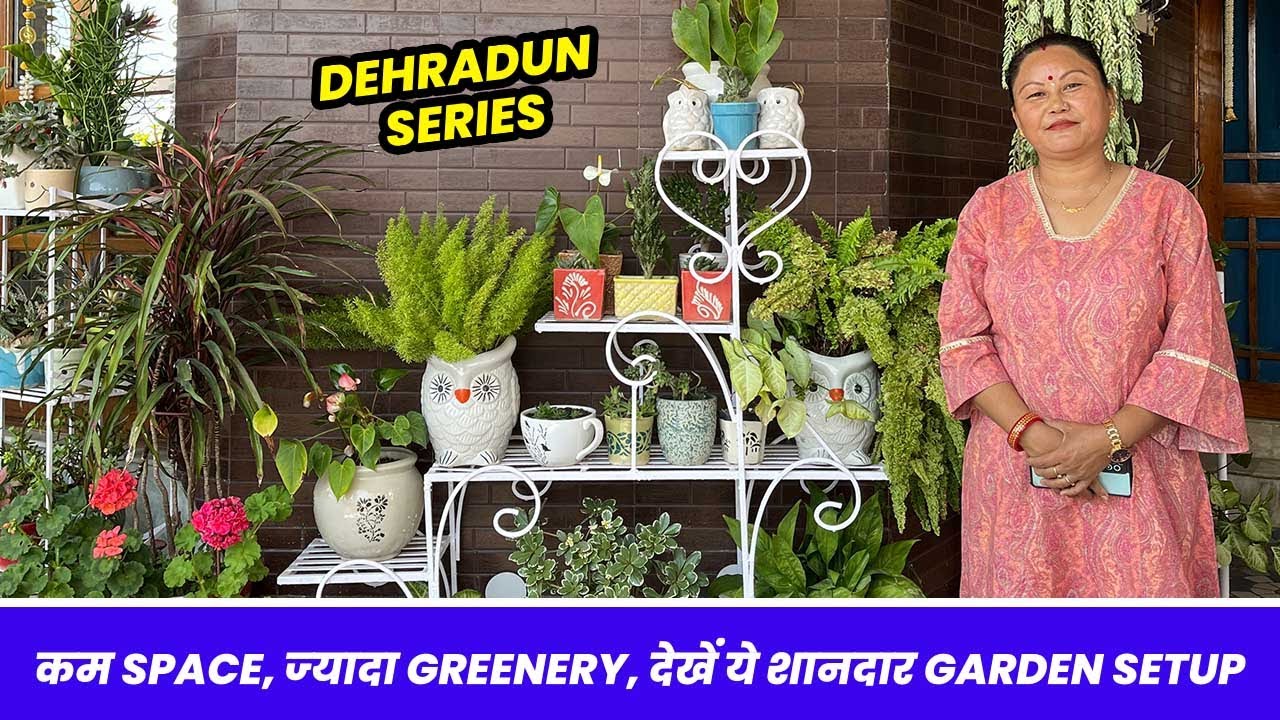 कम स्पेस, ज्यादा ग्रीनरी 🥰 देखें ये शानदार गार्डन सेटअप👌 Dehradun Garden Tour 🪴EP-04
