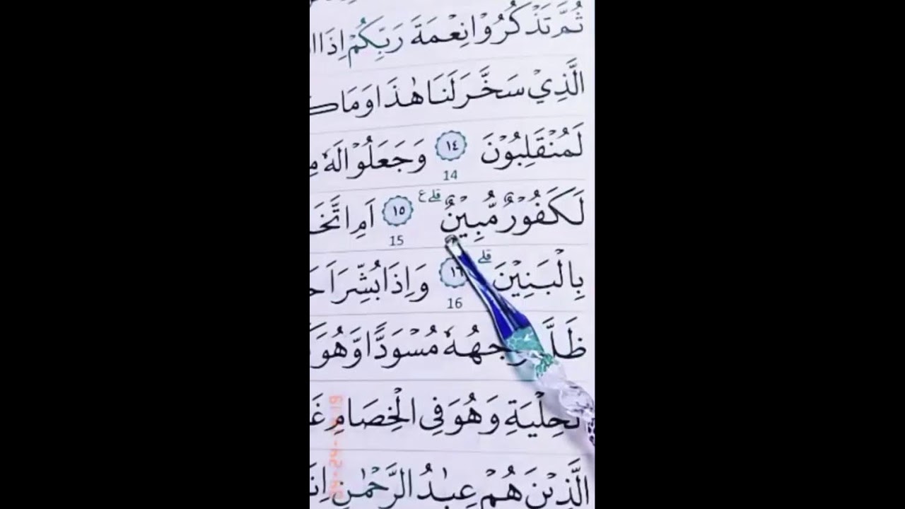 BELAJAR QURAN DAN TAHSIN LIVE