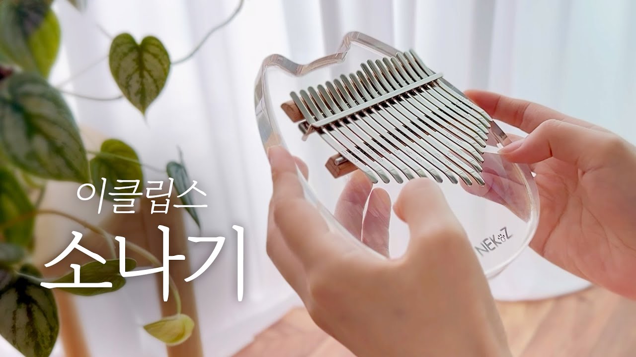 칼림바로 연주한 이클립스 (ECLIPSE) - 소나기 [선재 업고 튀어 OST] | Kalimba Cover