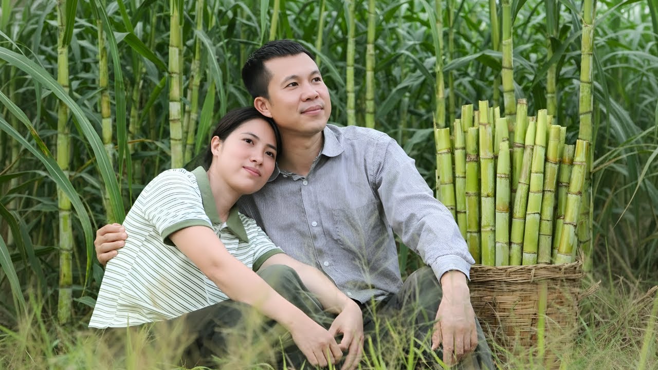 Harvesting and pressing sugarcane for juice - Making puffed rice, taking children to school