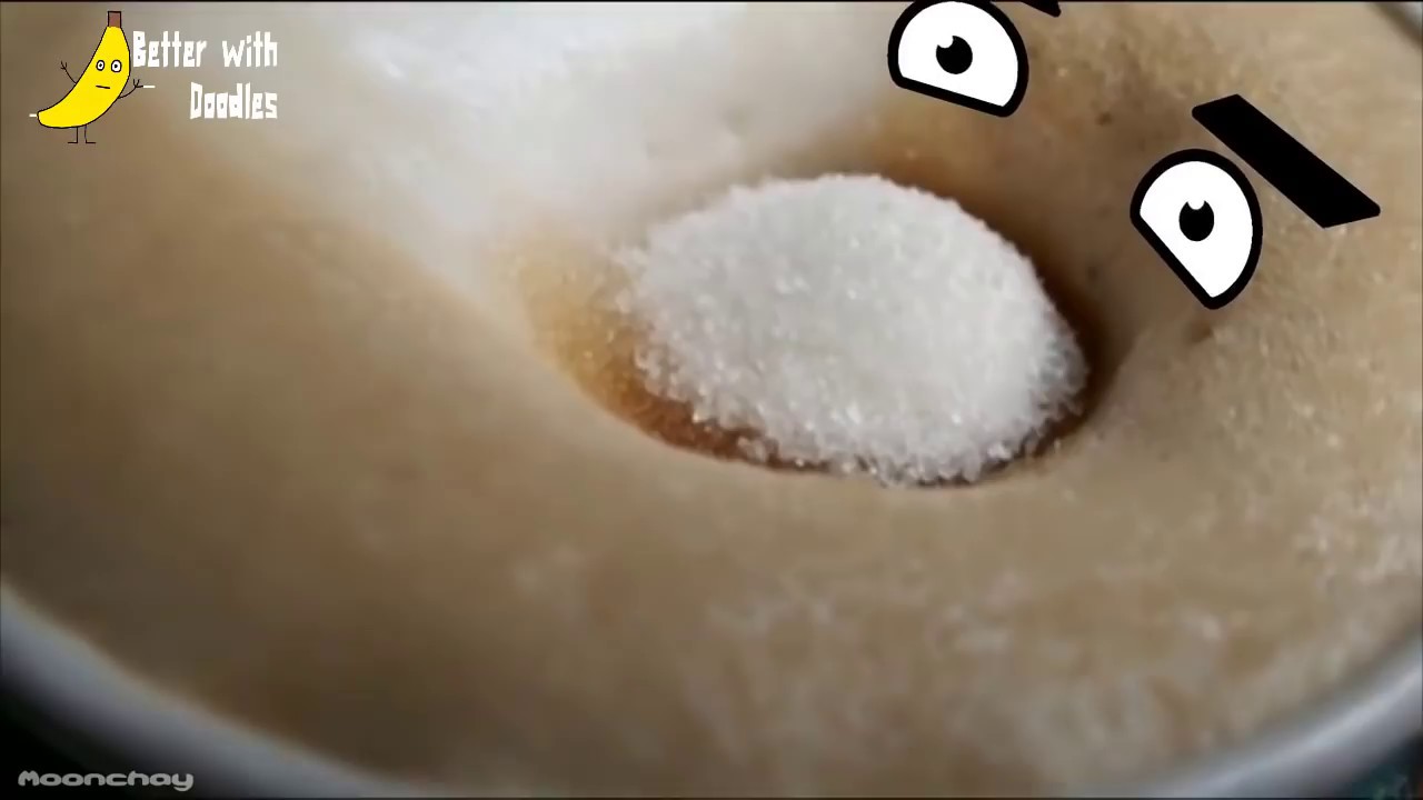 Secret World of funny stuff - BEST Compilation by Moonchay