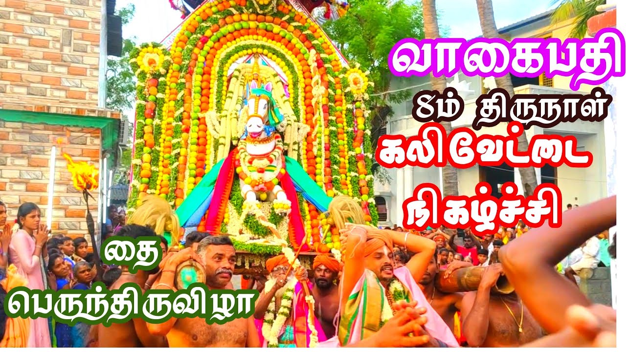 #8ம் திருநாள் #கலிவேட்டை நிகழ்ச்சி #வாகைபதி #தை #பெருந்திருவிழா #vagaipathi#ayyavazhi #குதிரை வாகனம்