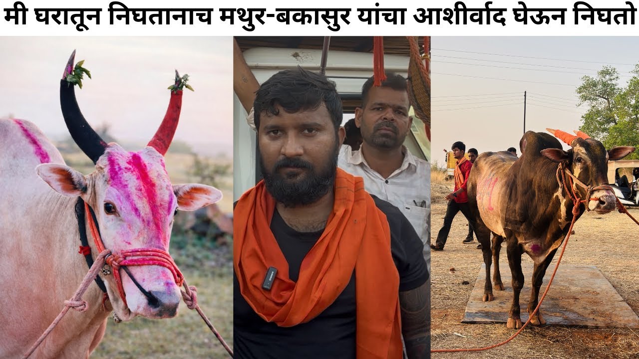 मी घरातून निघतानाच मथुर-बकासुर यांचा आशीर्वाद घेऊन निघतो 