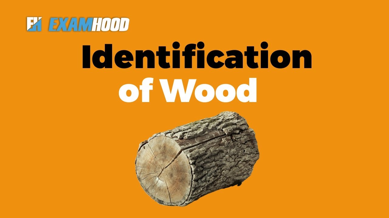 Identification Of Wood
