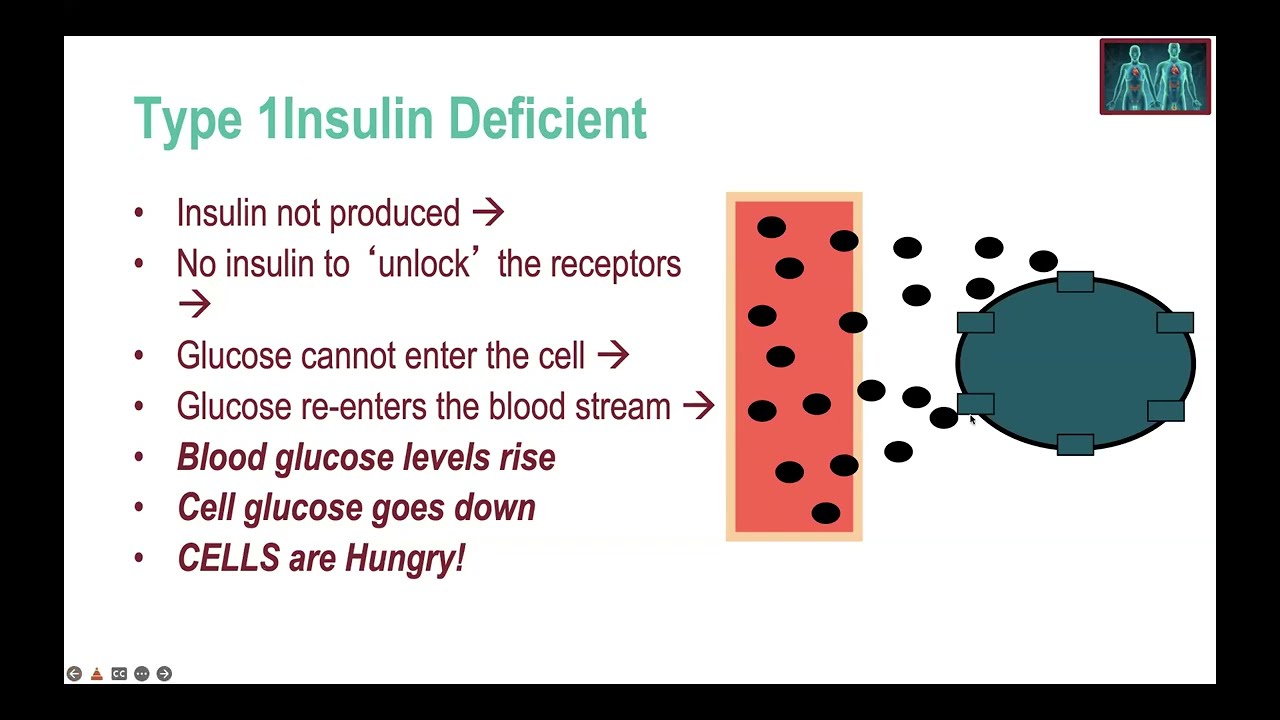 1 Glycemic Control