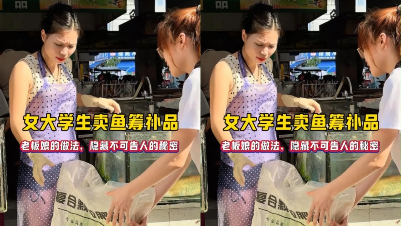 女大学生卖鱼筹补品，老板娘隐藏了什么不可告人的秘密？