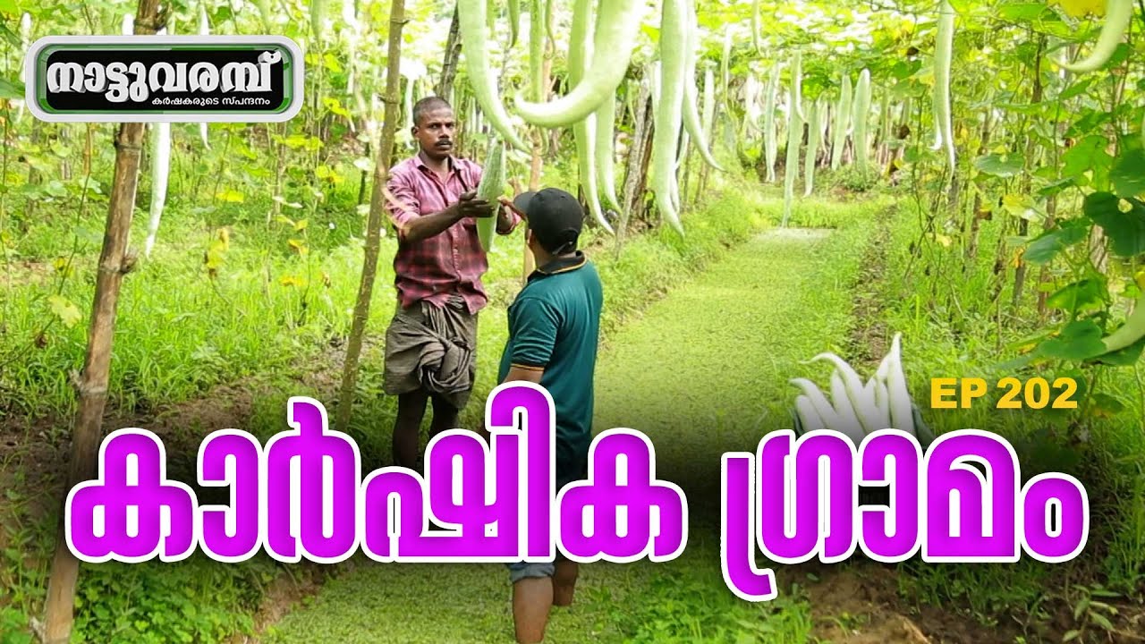 കാർഷിക ഗ്രാമം | KARSHIKA GRAMAM | ORGANIC FARMING | TRIVANDRUM | NATTUVARAMBU | JANAM TV