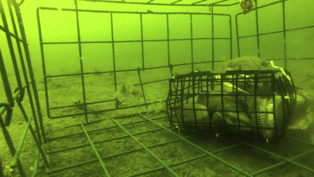 Camano Island Crab Pot