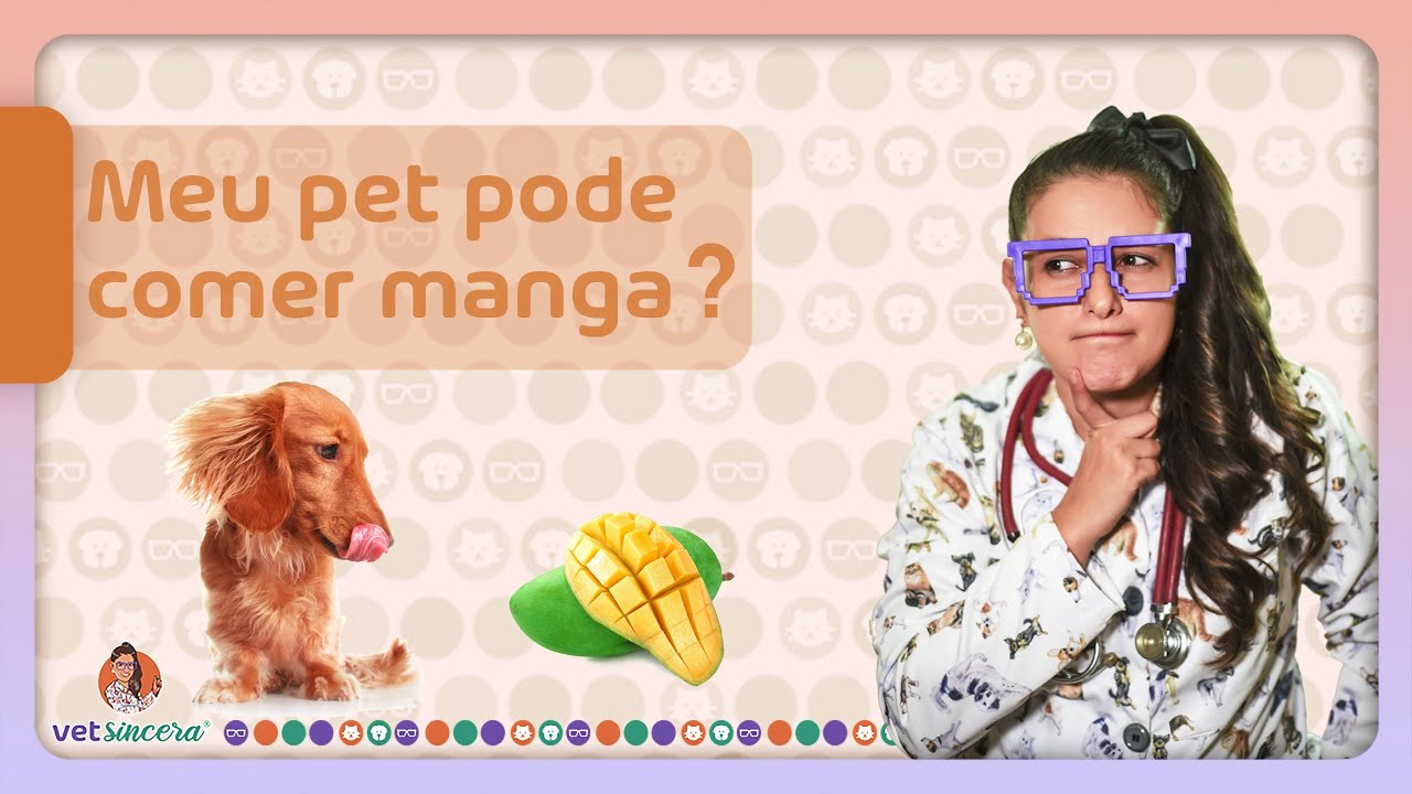 Meu cachorro pode comer manga? Como dar a manga?