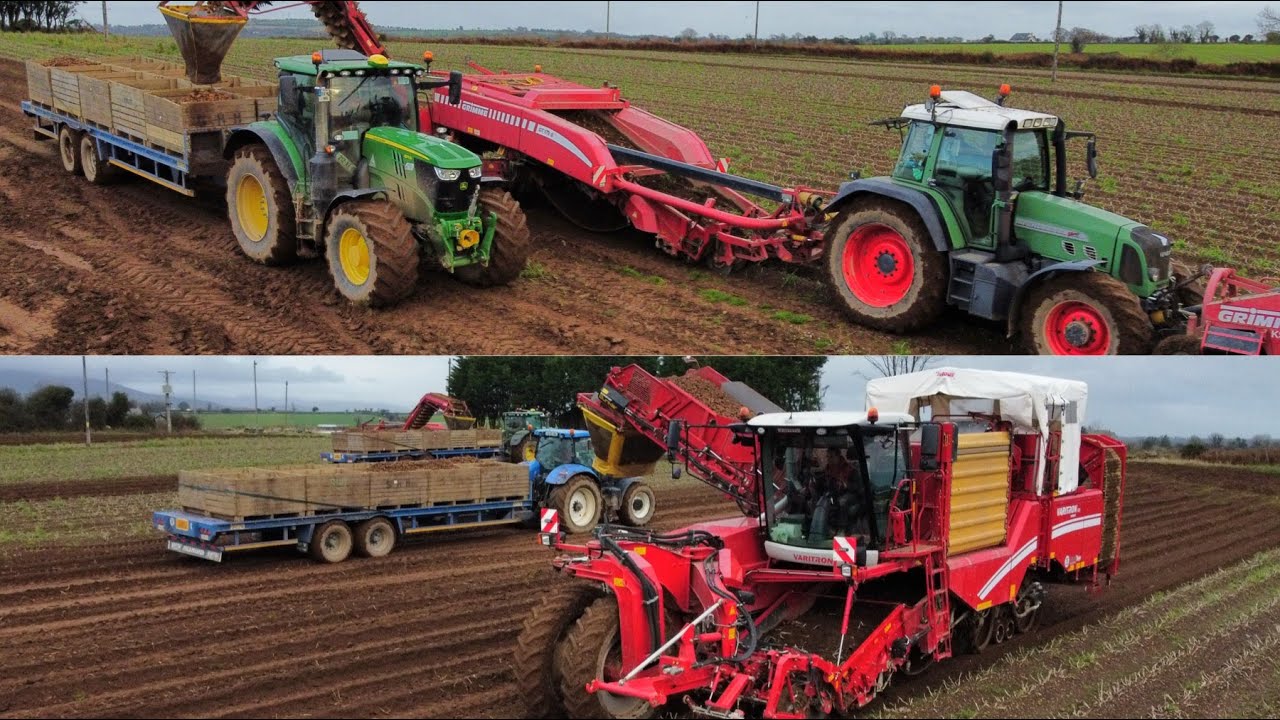 Hatton Produce Harvesting Potatoes ~ Grimme Varitron 270 Platinum & Grimme GT 170 S