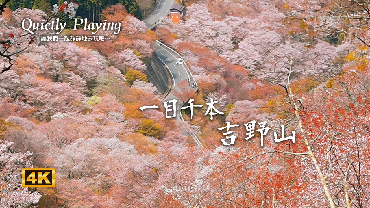 🌸一目千本！奈良吉野山 3萬棵櫻花大爆發｜走進日本最壯觀的櫻花聖地｜春季限定夢幻絕景！