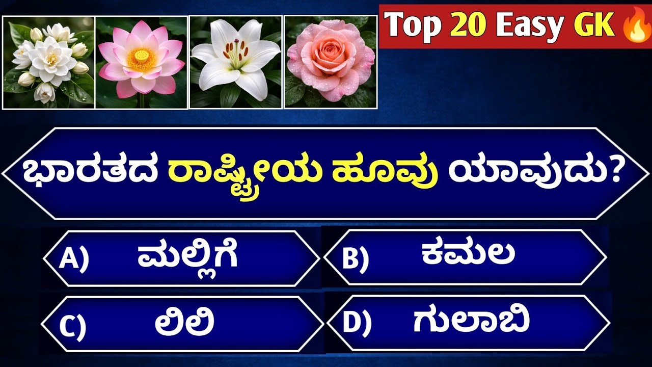 Top 20 Easy Mixed GK Quiz Kannada | 5 Seconds Challenge ⏱️ | Quiz Study Kannada