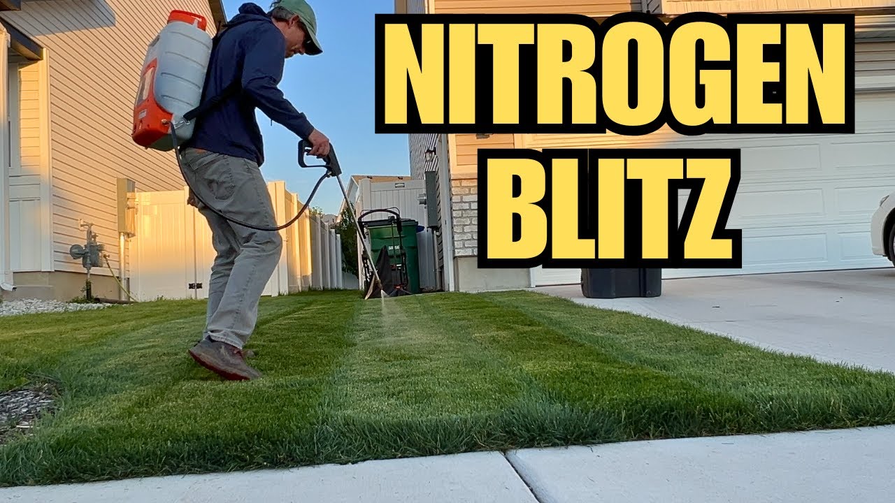 How to Do a Fall Nitrogen Blitz for a Lush Lawn
