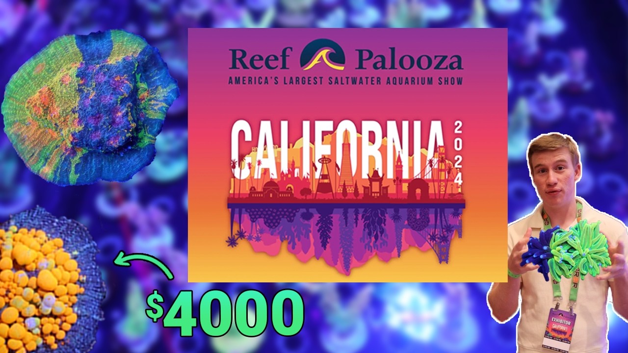 The Nicest Corals at Reefapalooza California 2024!