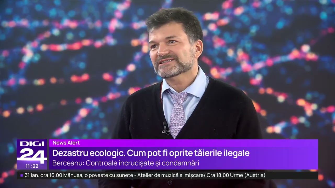 Noi dezvăluiri la Băile Felix: cine a deschis firma care face defrișările