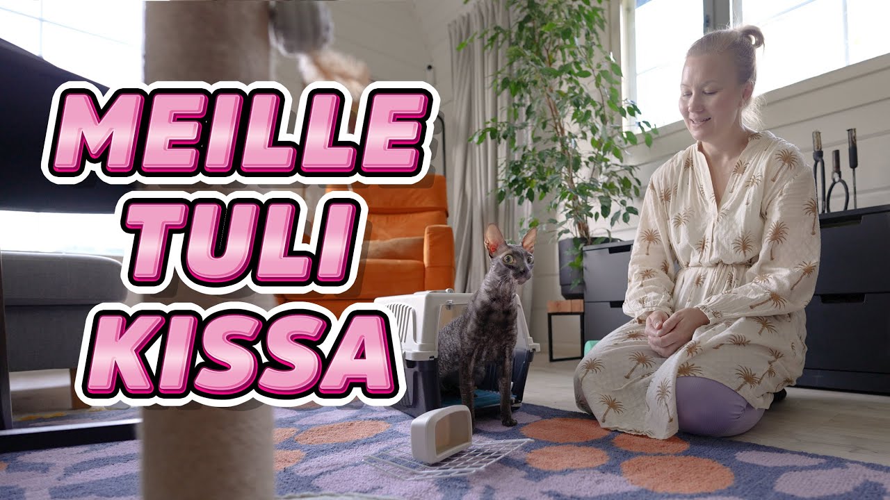 MEILLE TULI KISSA!!! (MY DAY)