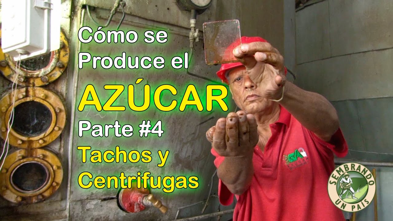 Cómo se Produce el Azúcar, Parte 4: Tachos y Centrifugas