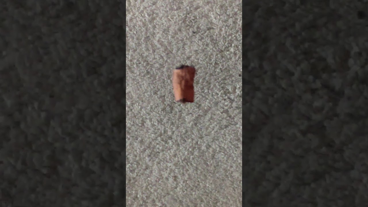 How To ReRoll a Roach Blunt!!! 😭😭😭